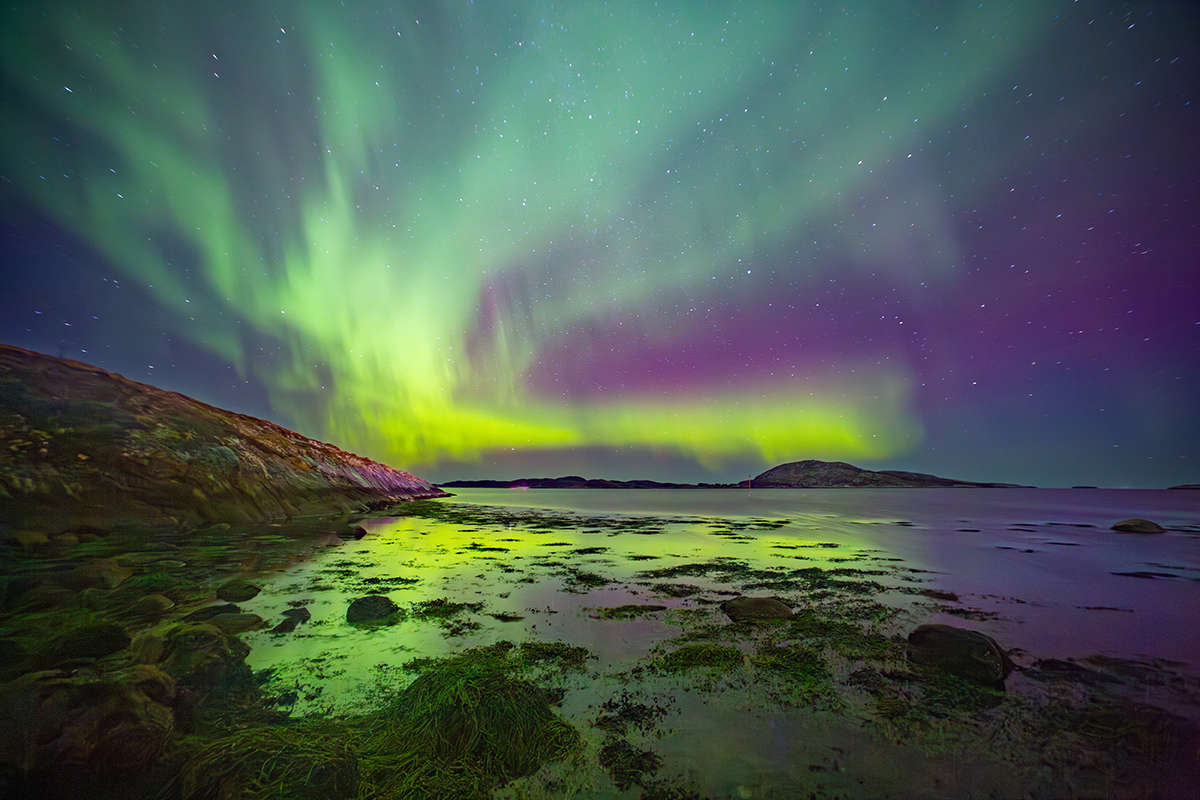 BIODIVERSIDAD AURORA BOREAL 